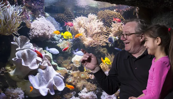 SEA LIFE