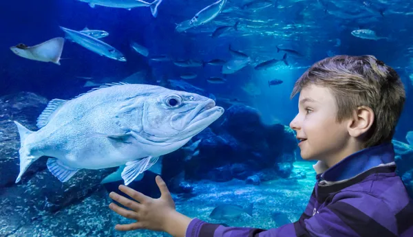 SEA LIFE