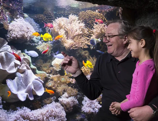 SEA LIFE